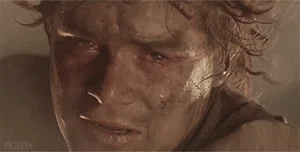 lord of the rings GIF