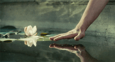 Relaxed Lotus GIF
