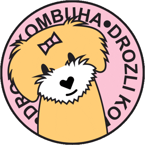 Drozli Kombuha Sticker