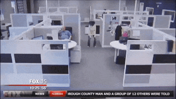 staffingnerd camera shake florida security GIF