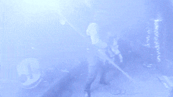 GIF by Marquis of Vaudeville