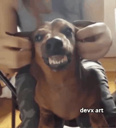 Dog Showing GIF by DevX Art