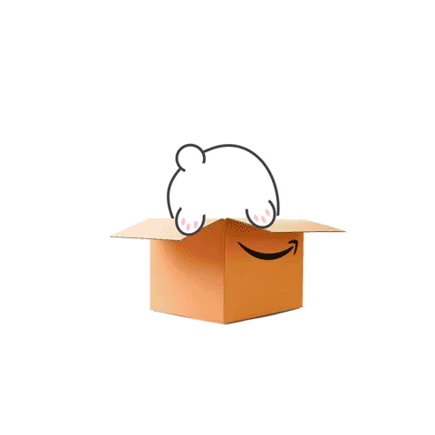 Box Deliver GIF by Rainbow Rabbits