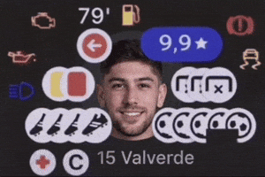 Federico Valverde Perez GIF