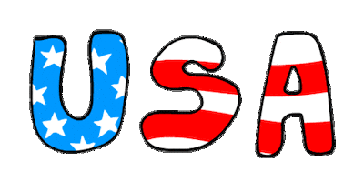American Usa Sticker