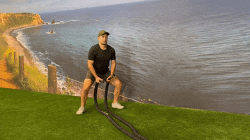 ModusGT GIF