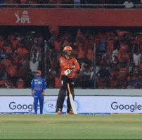 Ipl GIF