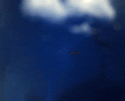 Eid Adha Eid GIF by Al-Maha Agricultural Co.