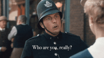 Interrogate Who Are You GIF by Murdoch Mysteries