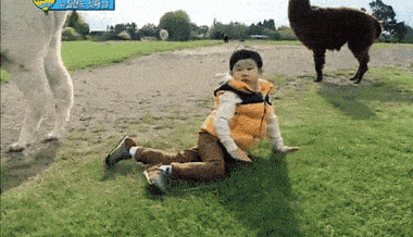 karate
