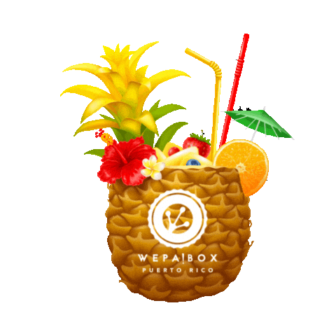 Puerto Rico Vacations Sticker by WEPA!BOX