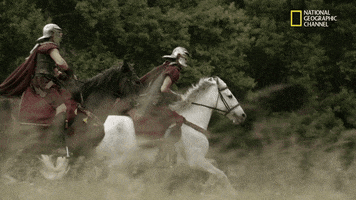 horses origins GIF by National Geographic Channel