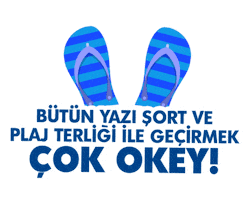 Pepsi Türkiye Sticker