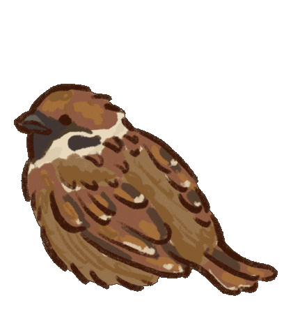 Illustration Bird Sticker