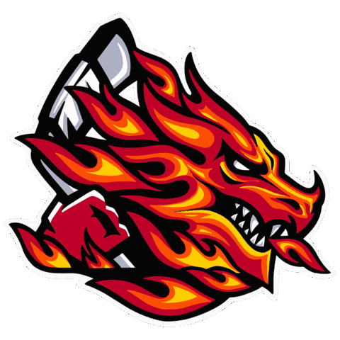Fire Hockey Sticker by Cardiff Fire