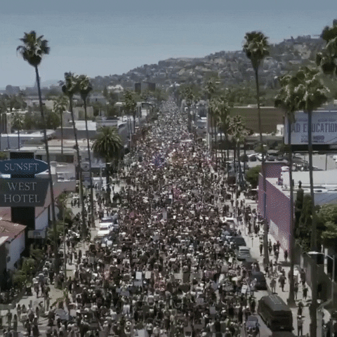 West Hollywood Blm GIF by Leroy Patterson