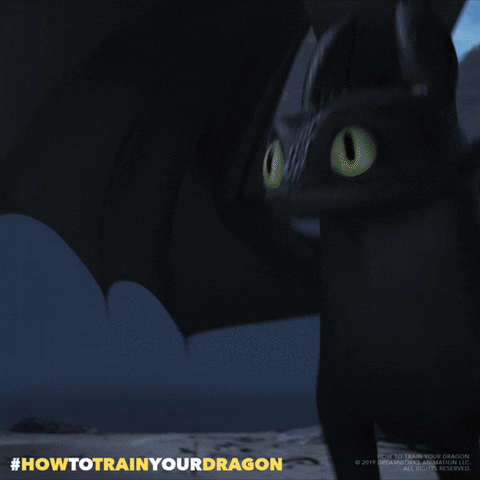 How To Train Your Dragon No GIF by DreamWorks Animation