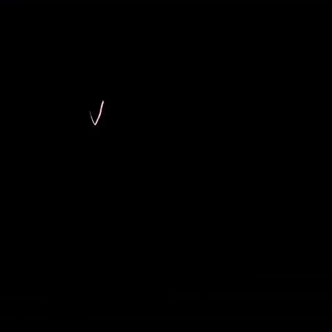 Theveganloversclub GIF