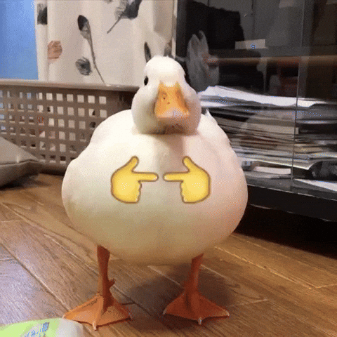 Denizviyy GIF