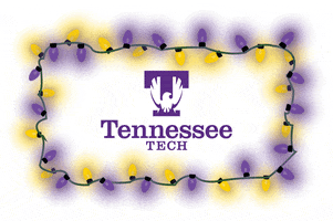 Gold Lights GIF by Tennessee Tech University