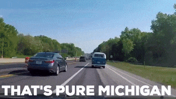 Pure Michigan GIF by Number Six With Cheese