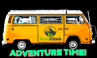 NutriClimb adventure climbing bouldering rock climbing GIF