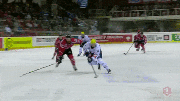 Ambri-Piotta Goal GIF by Champions Hockey League