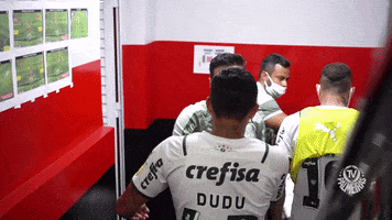 Tamo Junto Hug GIF by SE Palmeiras