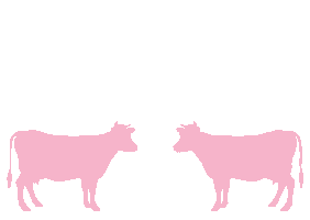 Ice Cream Love Sticker by Lewis Road Creamery