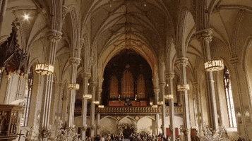 200.gif?cid=fc005b086bafa5cf5ce853d2e14b066dc45e1a3d2e766ce1&rid=200.gif&ct=g