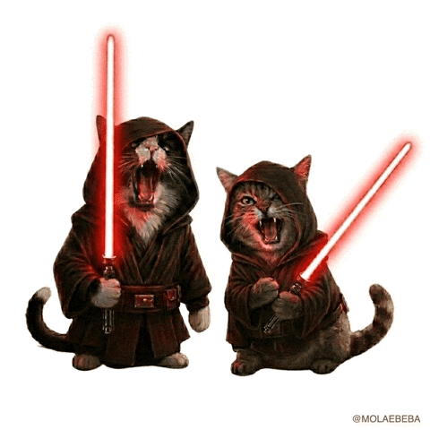 Angry Star Wars GIF