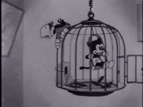 Disney GIF - Find & Share on GIPHY