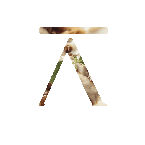 Harena Carnizzeria SBT Sticker