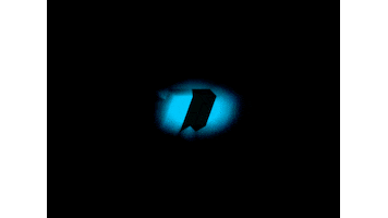 Jersey Dynamo Sticker by HC Dinamo-Minsk