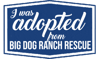 Adopted Dog Sticker by Big Dog Ranch Rescue