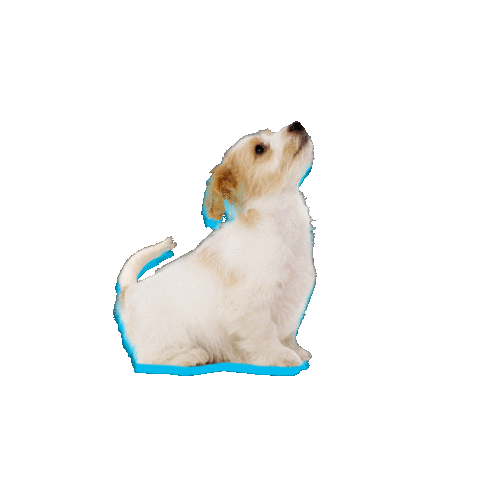 PedidosYa Sticker