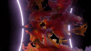Chris Coleman 3D GIF by Well Now WTF?