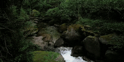 Creative Park GIF