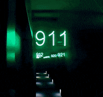 aaatamian 911 sunnies phonecover rachelk GIF