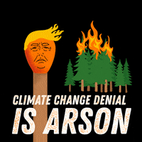 Donald Trump Fire GIF by Creative Courage