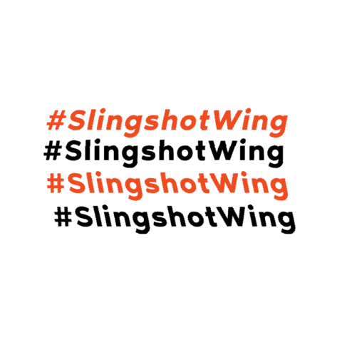 Slingshot Sports Global Sticker