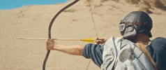 Bow And Arrow Archery GIF by Polyvinyl Records