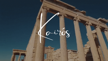 Tedx GIF