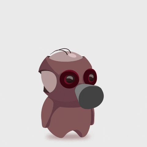Edfenice GIF