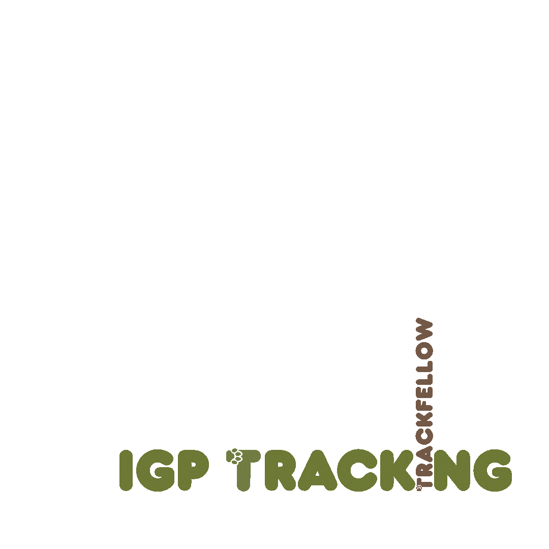 Igp Sticker by Trackfellow