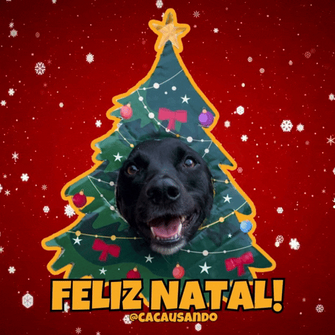 Christmas Tree Dog GIF