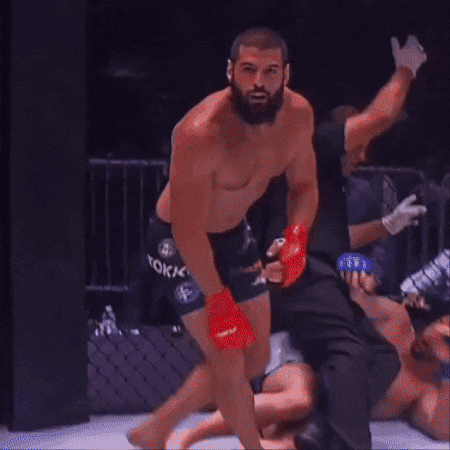 Ufc Mma GIF