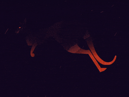 200.gif?cid=fc005b086b878bef931f2887bc42d2cf69f4e0b2f89bb8e9&rid=200.gif&ct=g