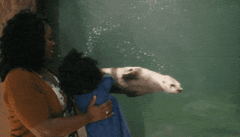 Virginia Living Museum GIF