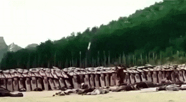 Single GIF